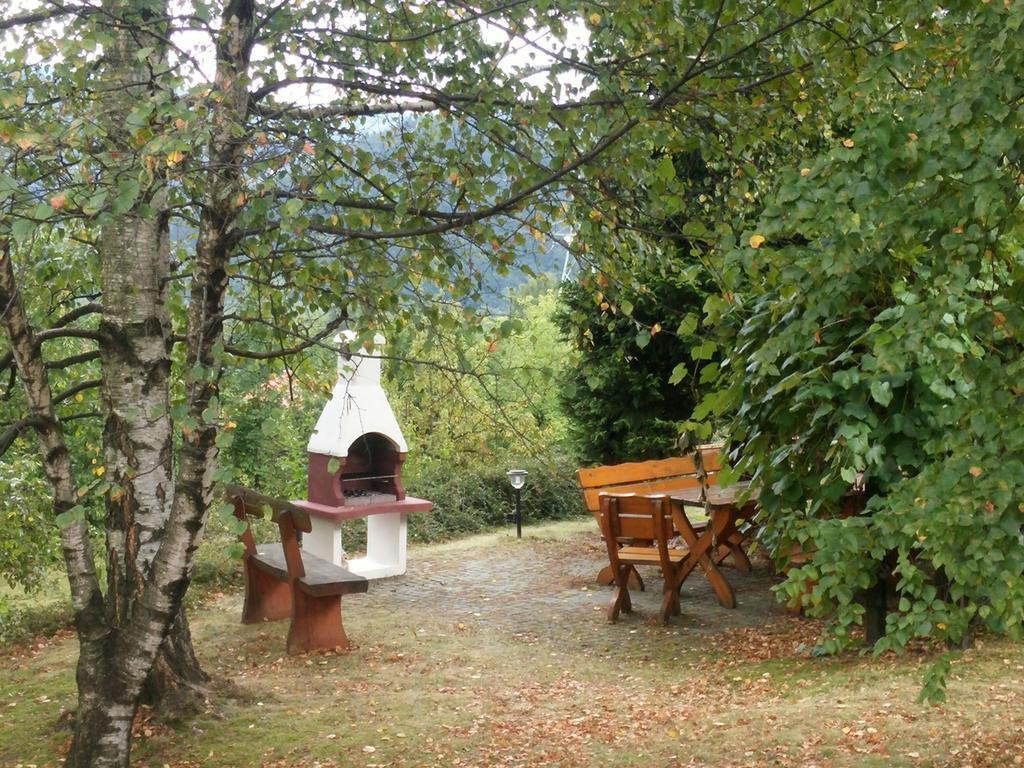 Willa Panorama Spa Ustron Extérieur photo
